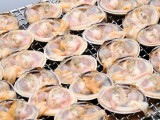 旬菜バイキング（夕食コース）