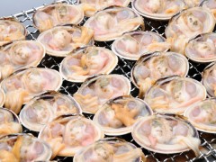 旬菜バイキング(夕食コース)