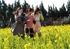 【入賞】　菜花の美女思い思い　斉藤松次さん(田原市)