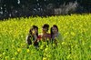 【優秀賞】　菜の花に囲まれて　大石邦一さん(豊橋市)